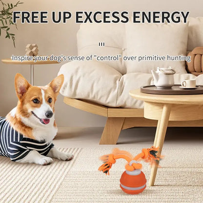 Smart Rolling Ball Toy for Dogs - Indoor Training Device for Pet Stimulation and Entertainment, Durable Bite-Resistant Design for Boredom Relief
