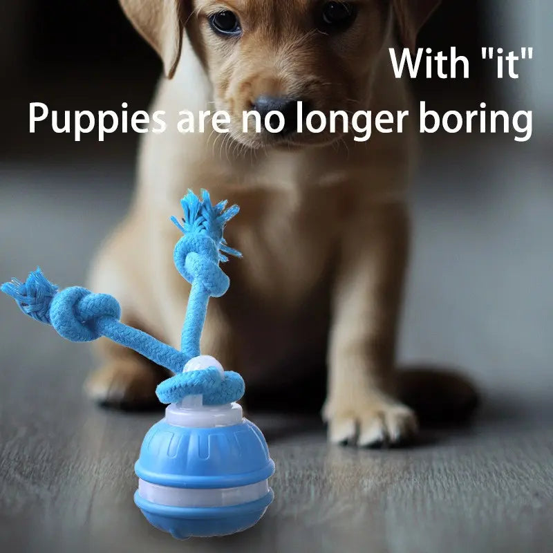 Smart Rolling Ball Toy for Dogs - Indoor Training Device for Pet Stimulation and Entertainment, Durable Bite-Resistant Design for Boredom Relief