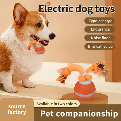 Smart Rolling Ball Toy for Dogs - Indoor Training Device for Pet Stimulation and Entertainment, Durable Bite-Resistant Design for Boredom Relief