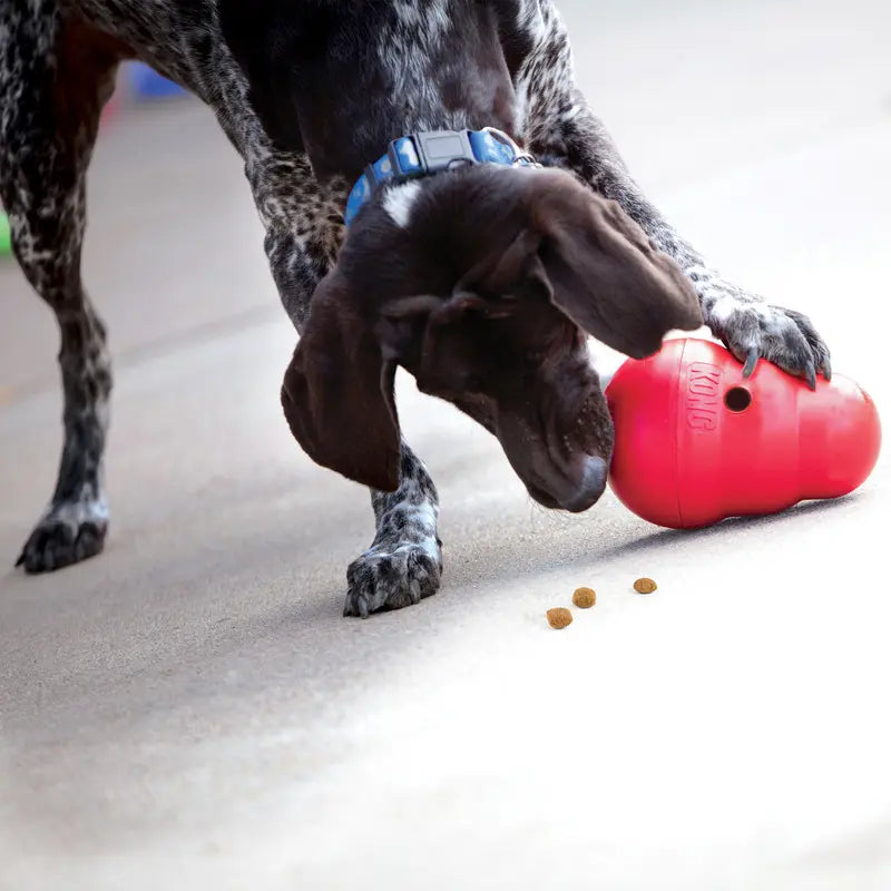 Wobbler Dog Treat Dispenser Toy