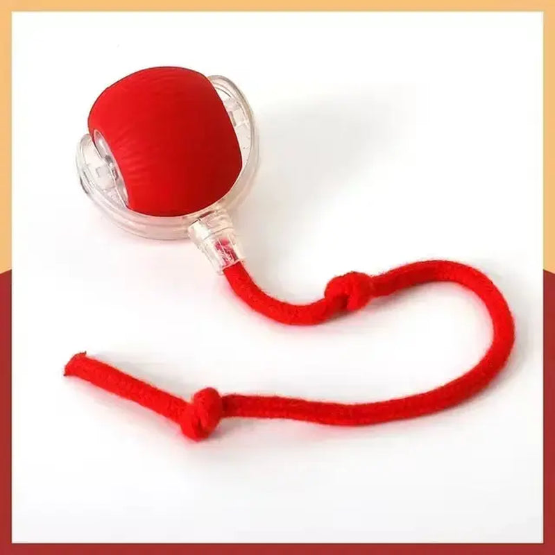 Interactive Rolling Cat Ball, Dog Toys Rolling Ball for Indoor, 360° Smart Automatic Rolling Pet Ball, Self Rolling Ball